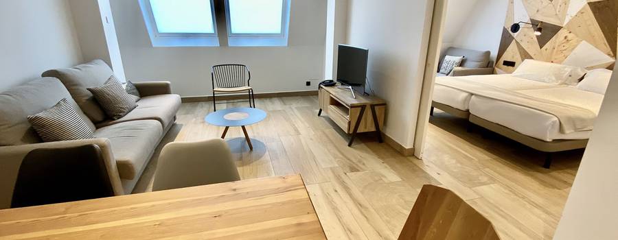 APARTAMENTO 1 DORMITORIO (5 PAX) APARTAMENTO 1 DORMITORIO (5 PAX)